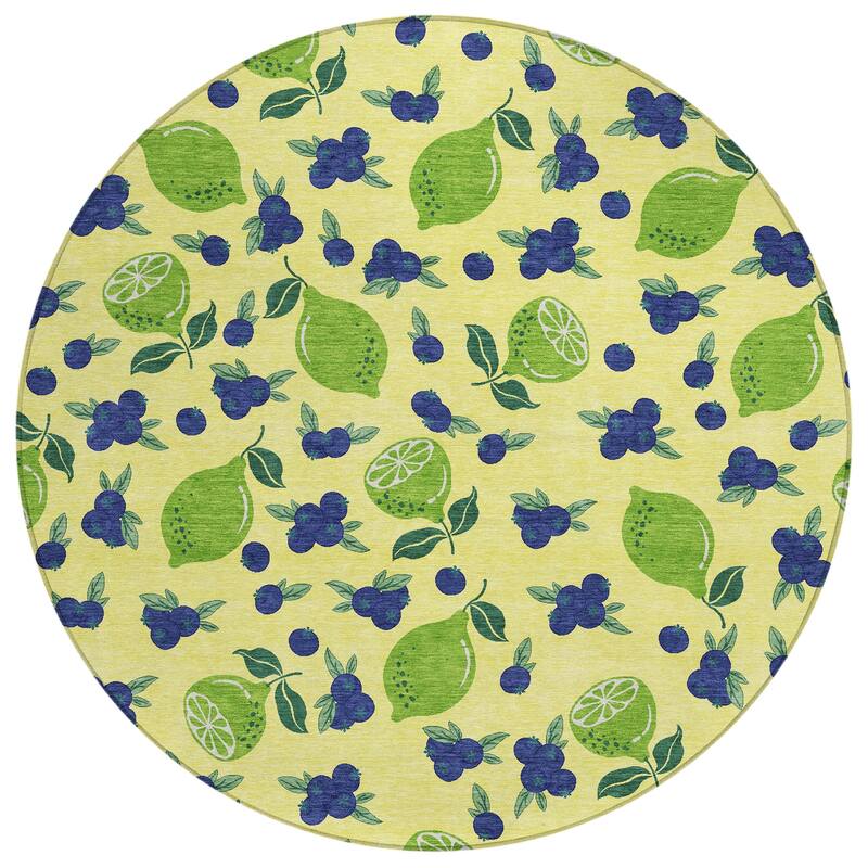 Machine Washable Indoor/ Outdoor Citrus Berry Chantille Rug