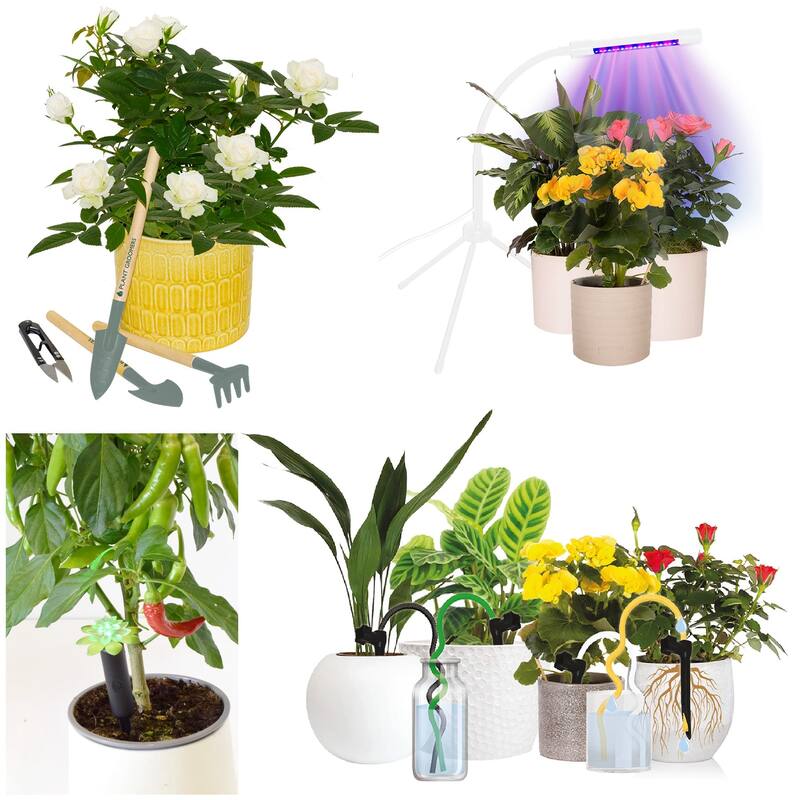 Wicked Waterer Plant Deluxe 5 Piece Kit - Two Plant Alarms, one Grow Light, Grooming Kit and Spike Water Kit