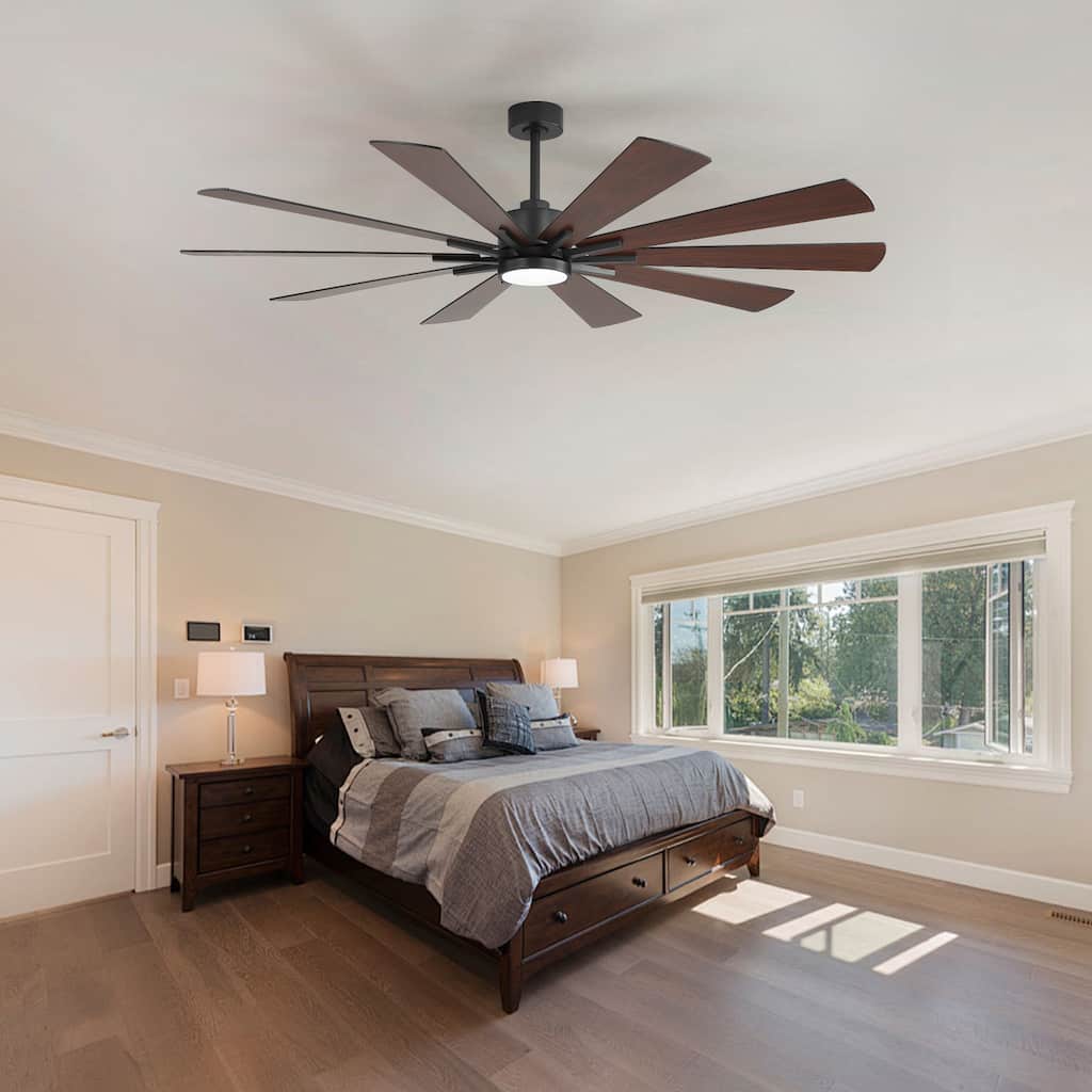 62-Inch LED Ceiling Fan with Light, 10 Reversible Blades, DC Motor, Dimmable 3CCT, Memory Function, Remote, Quiet