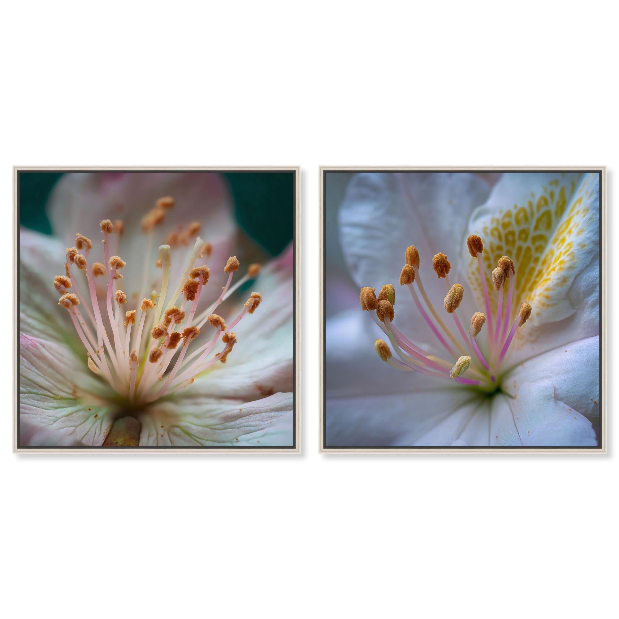 Tranquility Botanical Farm Art Set of 2 Canvas Print by Art Remedy