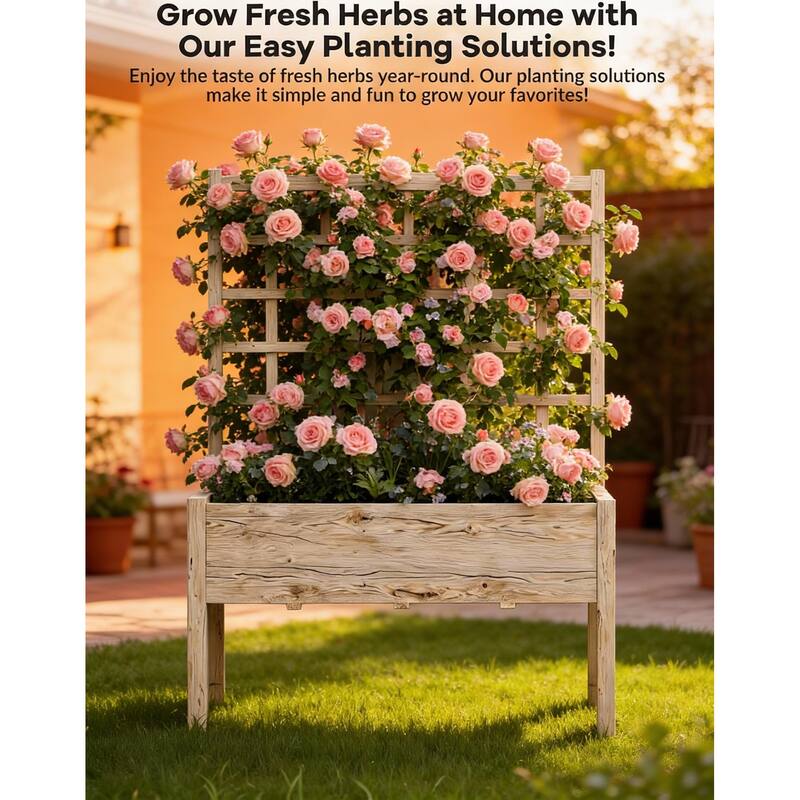 Wooden Elevated Garden Bed, with Trellis