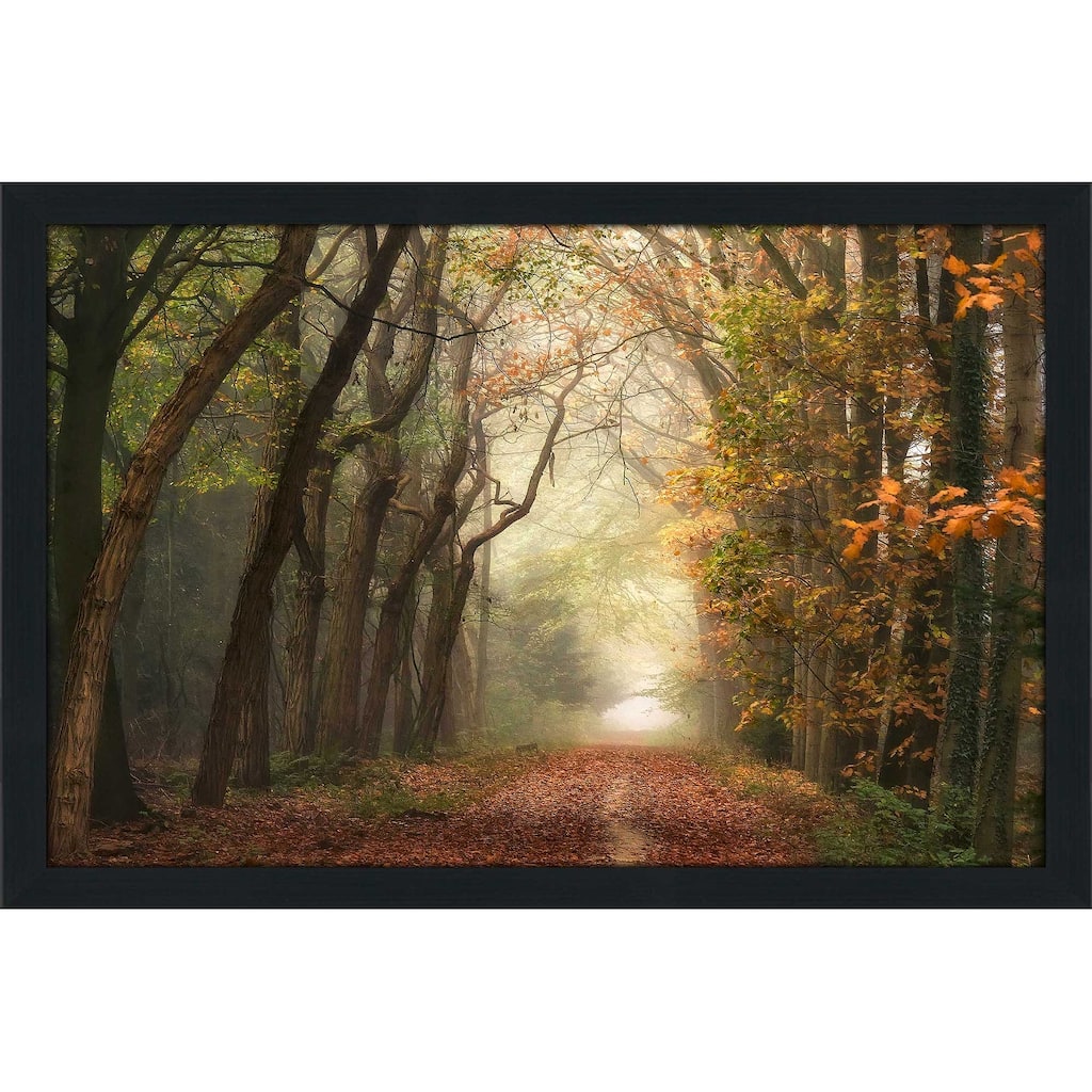"Path of Dreams" by Lars Van de Goor Print on Acrylic