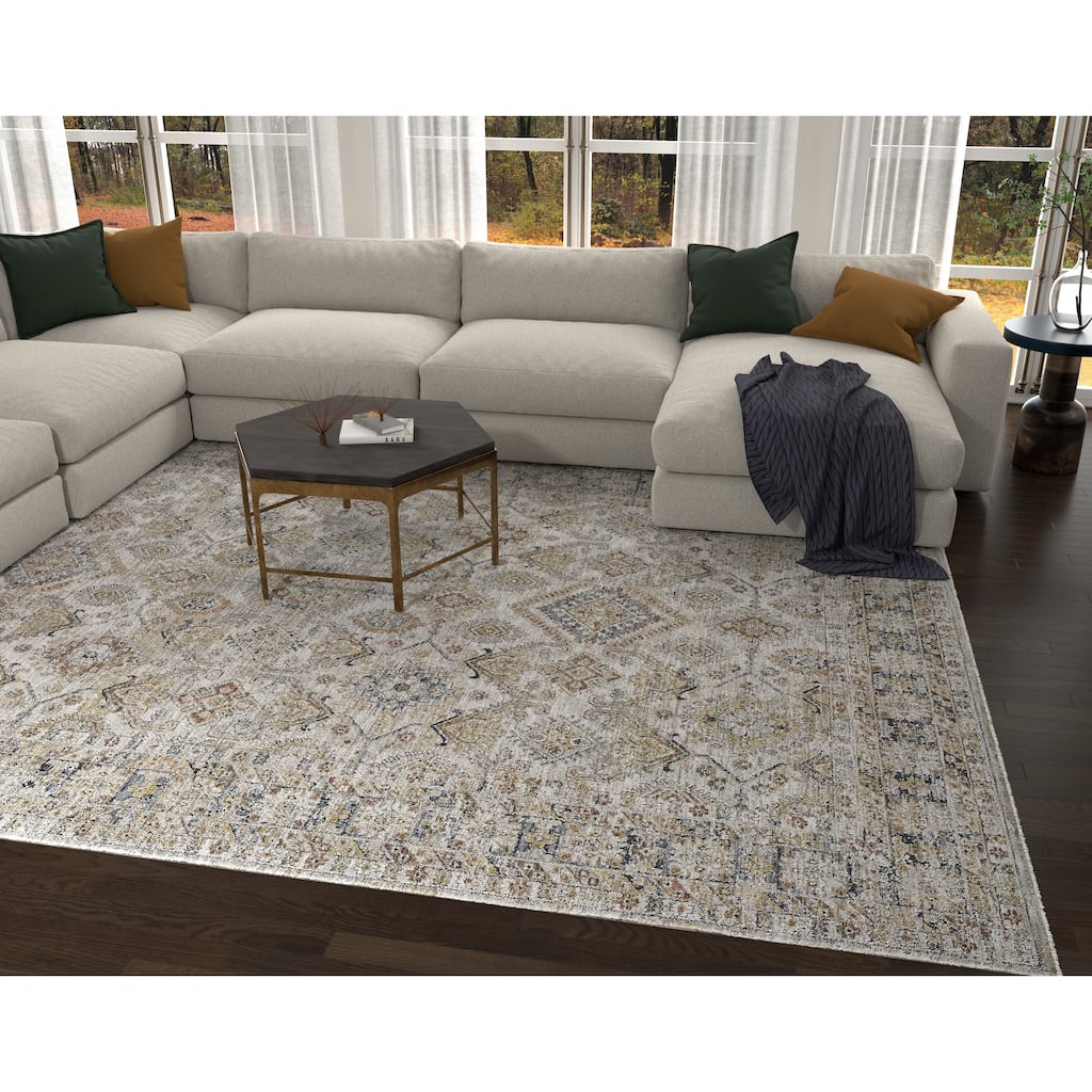 Domani Opulence Classic Medallion Area Rug