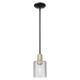 Option Clear / Black Antique Brass