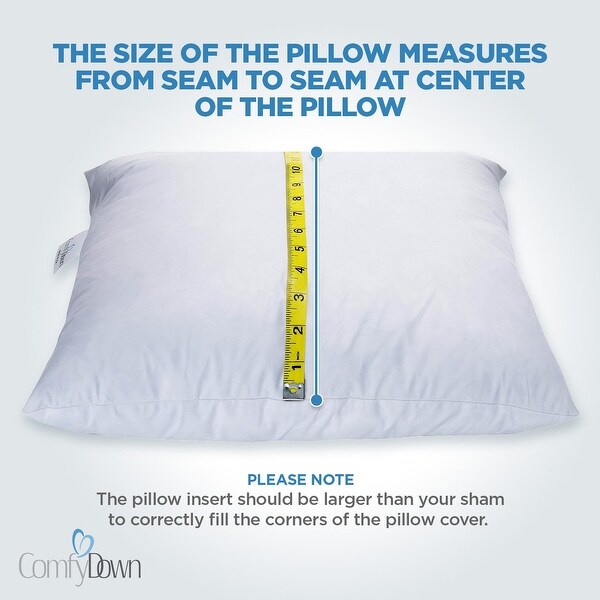 22 x 28 pillow insert