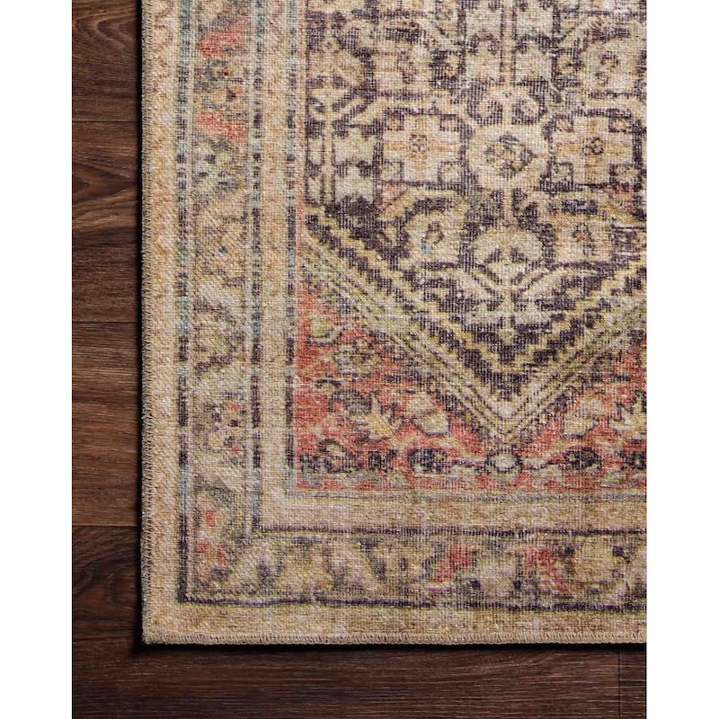 Alexander Home Tremezzina Printed Geometric Botanical Distressed Rug