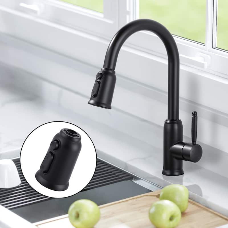 Pull Down Kitchen Faucet Head Replacement with 9 Adapter Kit