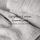 preview thumbnail 185 of 197, Superior Egyptian Cotton 6 Piece Towel Set Ultra Plush & Absorbent Bath, Hand & Face Towels, Heavyweight Spa Quality