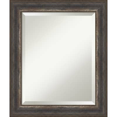 Beveled Bathroom Wall Mirror - Alta Frame