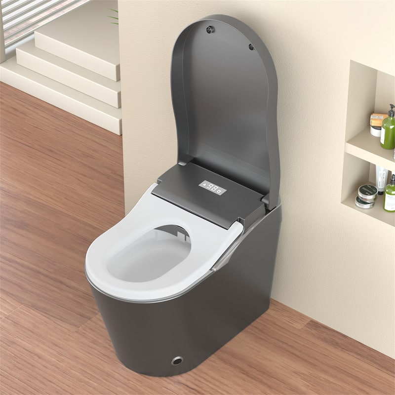 Smart Toilet with Bidet & Auto Flush