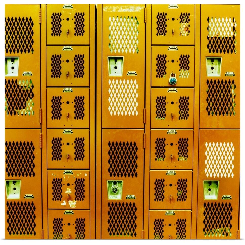 "Lockers in a gym facility" Poster Print - Multi