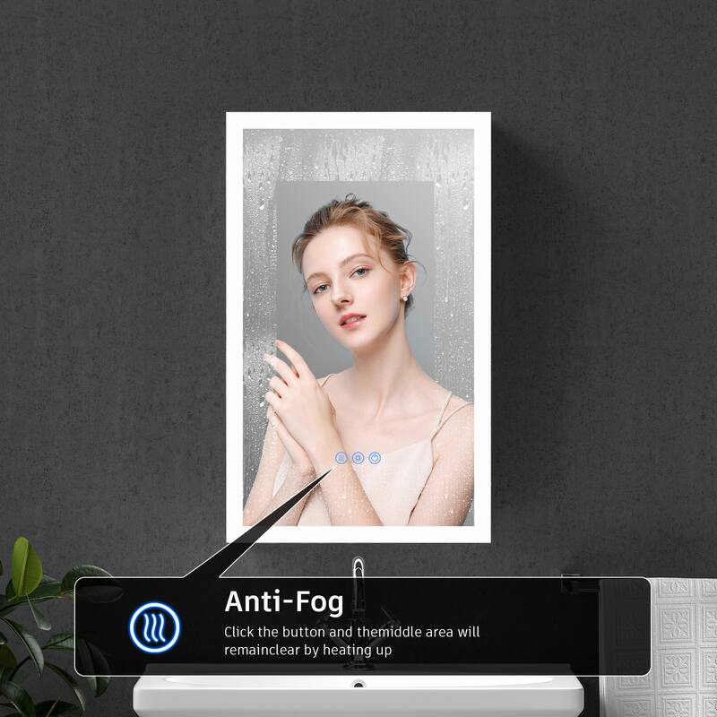 GDFStudio Elowen Aluminum Glass LED Medicine Cabinet with Anti-Fog Storage