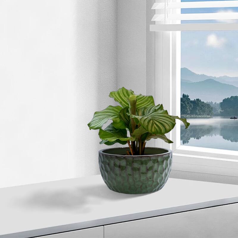 Ceramic Pots in Cobalt Blue Violets and Herbs with Breathable Design