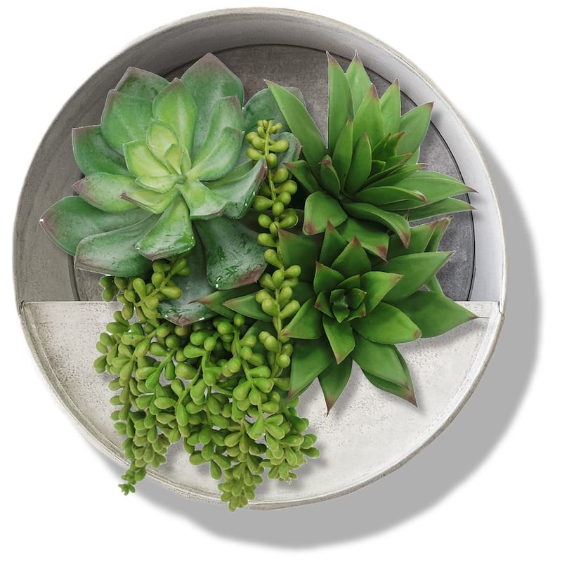 Modern Home Round Living Wall Mounted Galvanized Steel/Zinc Succulent/Herb Planter - Indoor/Outdoor Living Art Potting Vessel