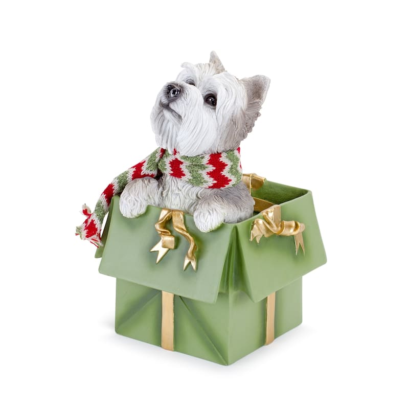 Dog in Package (Set of 2)