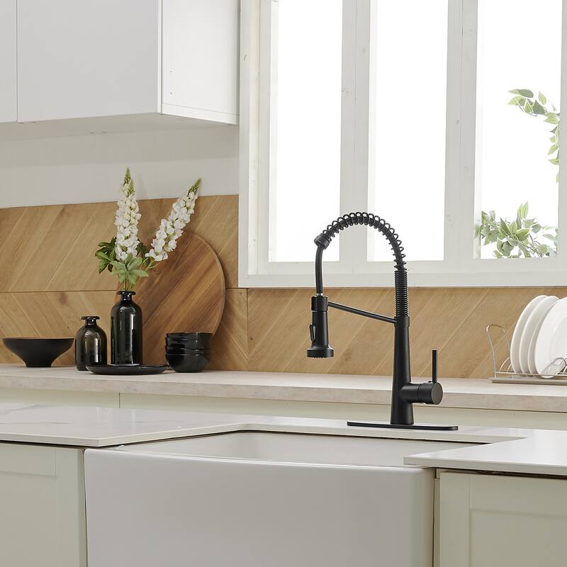 WIZ Pull-Down Sprayer 2 Spray High Arc Kitchen Faucet