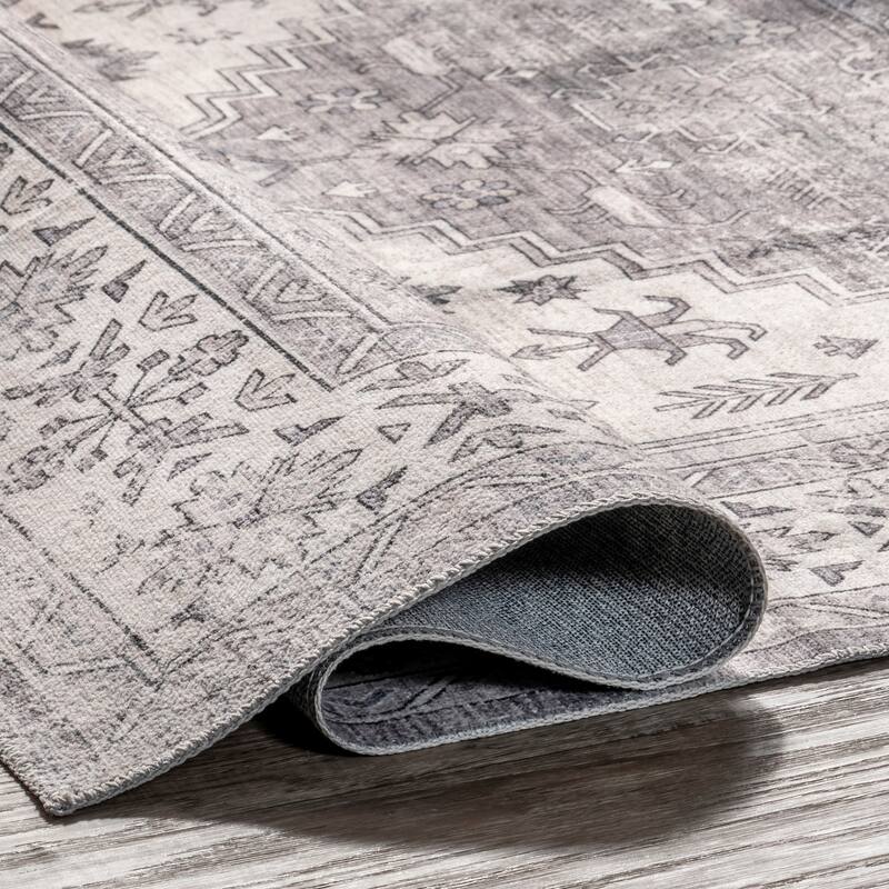 Nuloom Astra SplashGuard Traditional Machine Washable Area Rug