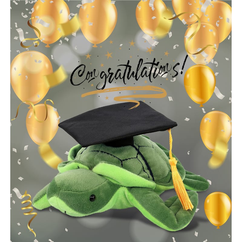 DolliBu Sea Turtle Graduation Plush Toy with Graduation Cap w/ Tassel ...