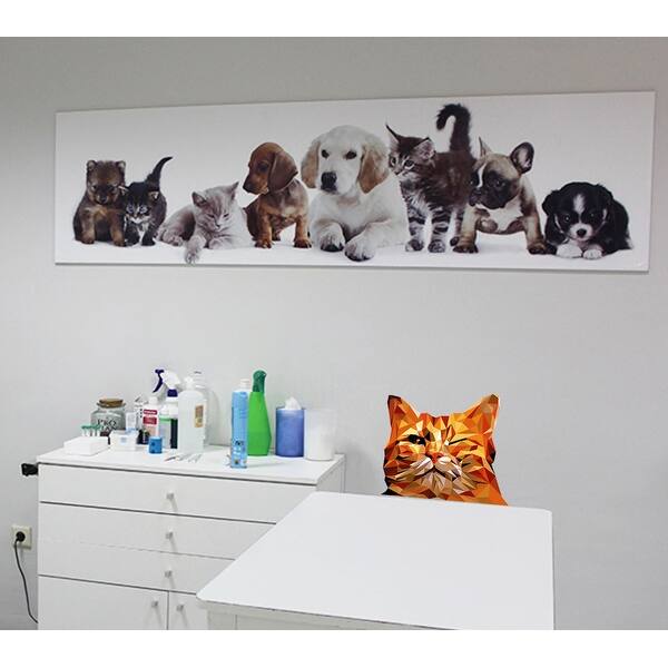 Shop Orange Cat Wall Decal Overstock 32044101