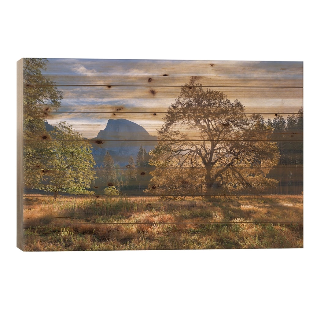 Cooks Meadow & Half Dome Print On Wood by Adam Burton - Multi-Color