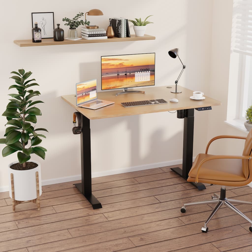 Futzca Electric Height Adjustable Standing Desk