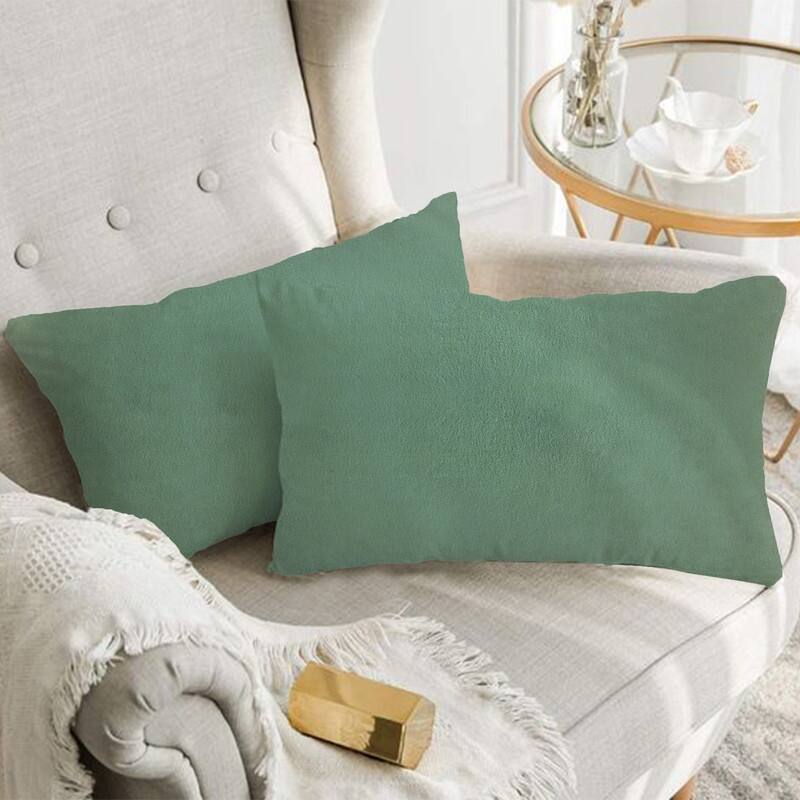 A1HC Pack of 2 Velvet Throw Pillow Covers, Hidden Zipper Closure