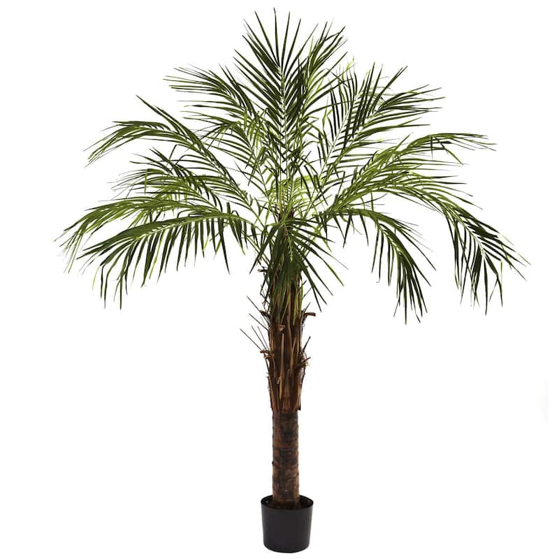 6Ft Robellini Palm Tree Indoor - Tropical Decor Plant 50"x50"x72" - Home Office Living Room Accent - 6ft.