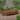 Elen 13-Piece Outdoor Rectangular Extendable Dining Table and Chairs Set | Eucalyptus Wood | Ideal for Patio - 13 pc