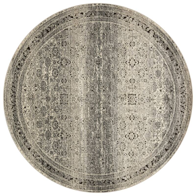 Alexander Home Carissa Distressed Floral Border Area Rug
