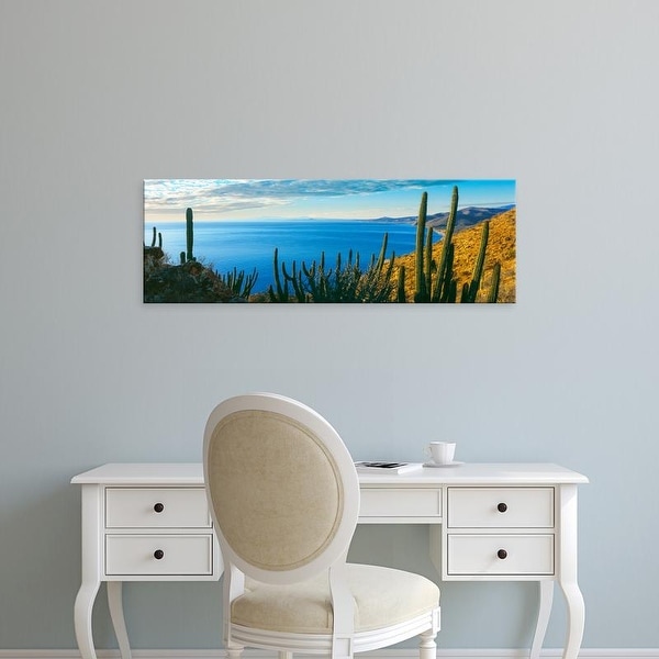 Easy Art Prints Panoramic Image 'Cactus, Bahia Las Palmas, Punta Pescadero, Baja California Sur, Mexico' Canvas Art