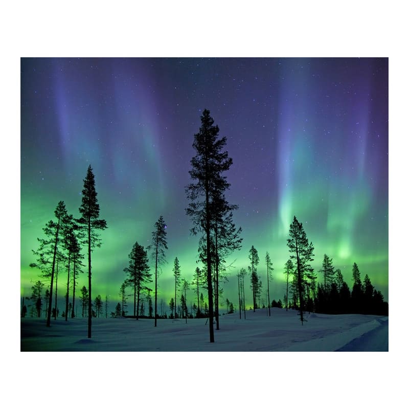 Aurora Borealis/ Northern Lights Wall Mural