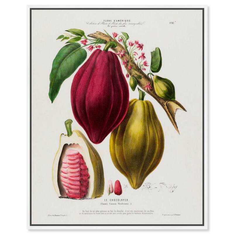 Cocoa Cacao by Etienne Denisse Canvas by Art Remedy - White - 30" x 36"