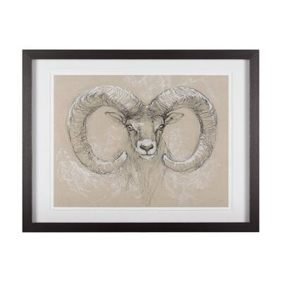 Sketch of Animal I (Wild Sheep) Framed Art Print