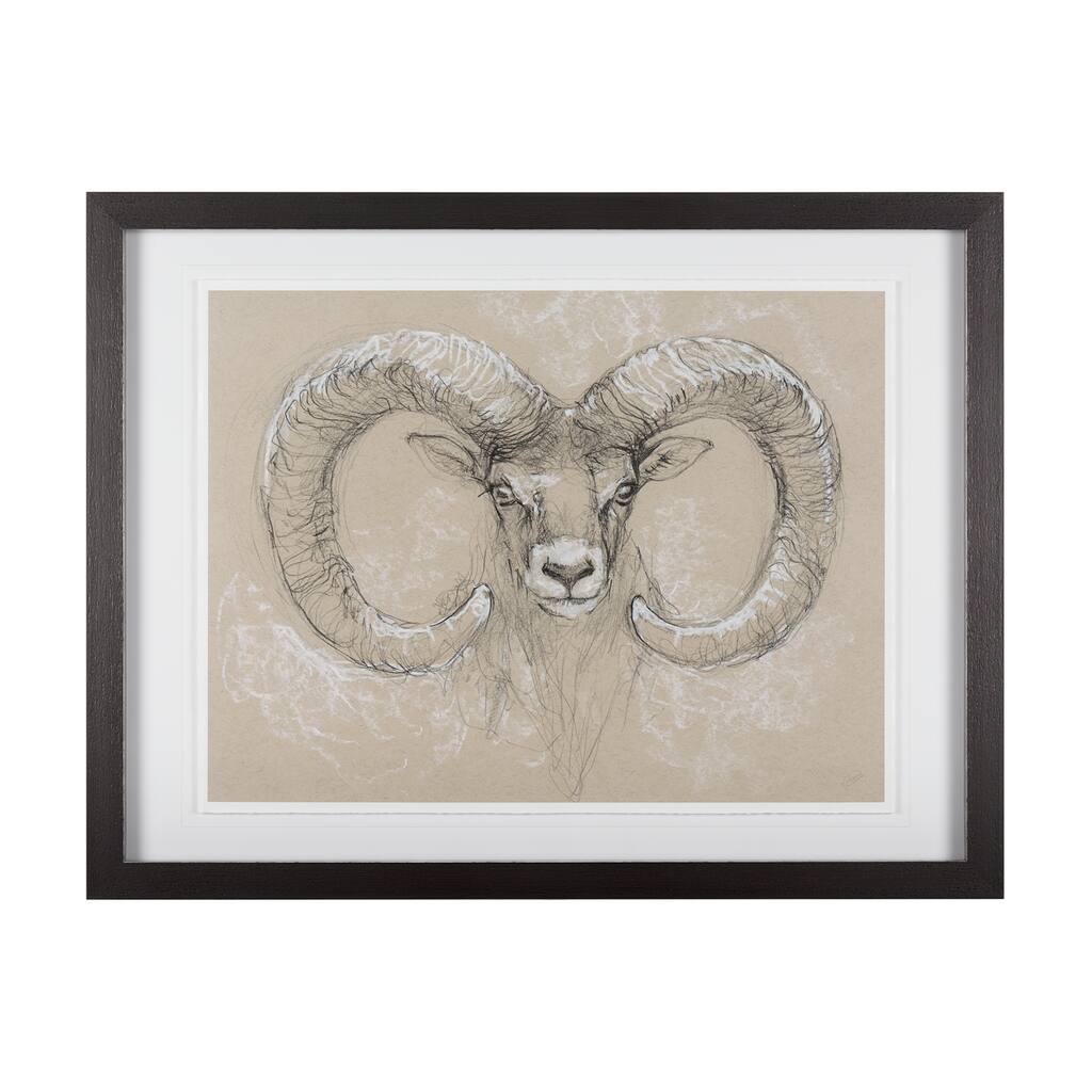 Sketch of Animal I (Wild Sheep) Framed Art Print
