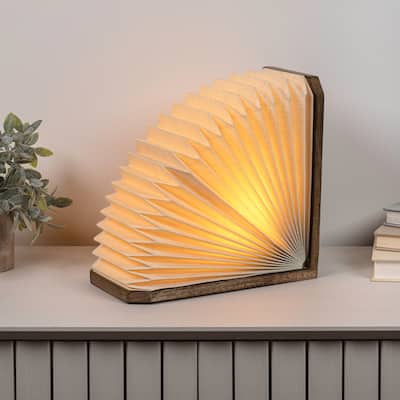 Darla Modern Art Deco Paper Half Pleated Fan LED Table Lamp, Natural