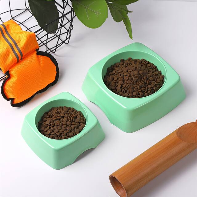 Non-toxic, biodegradable pet bowl - Large