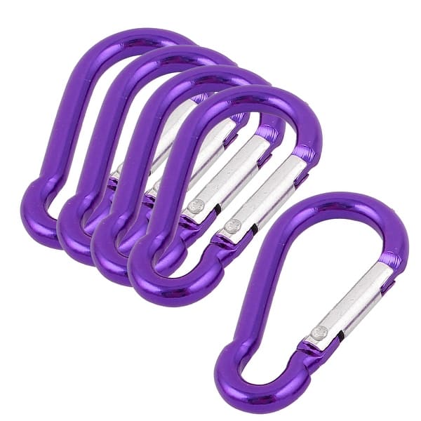 Travel Hiking Aluminum Clip Hook D-Ring Keychain Carabiner 5Pcs - Purple -  Bed Bath & Beyond - 18338188