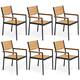 Option Brown-6PC