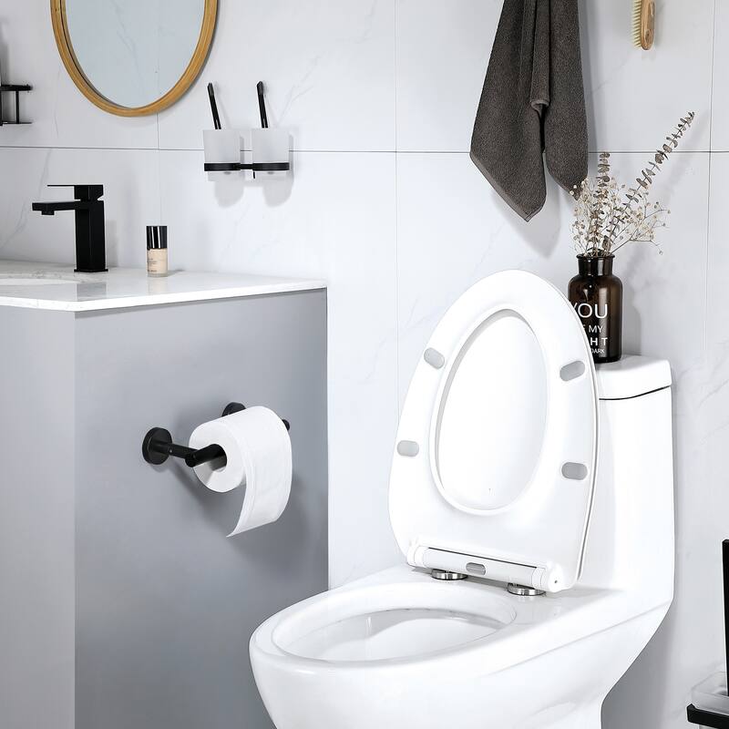 Two Post Wall Mount Toilet Paper Holder