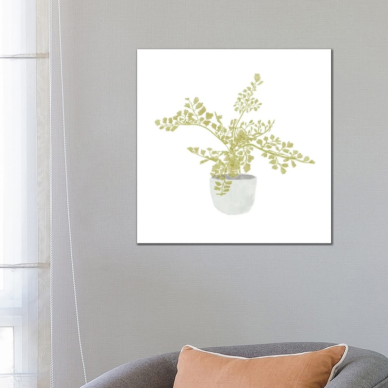 iCanvas "Potted Fern III" by Bannarot Canvas Print - 26x26x1.5