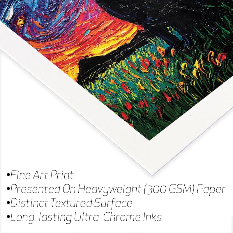 Black Cat Night Fine Art Paper Print by Aja Trier - Multi - 24x24