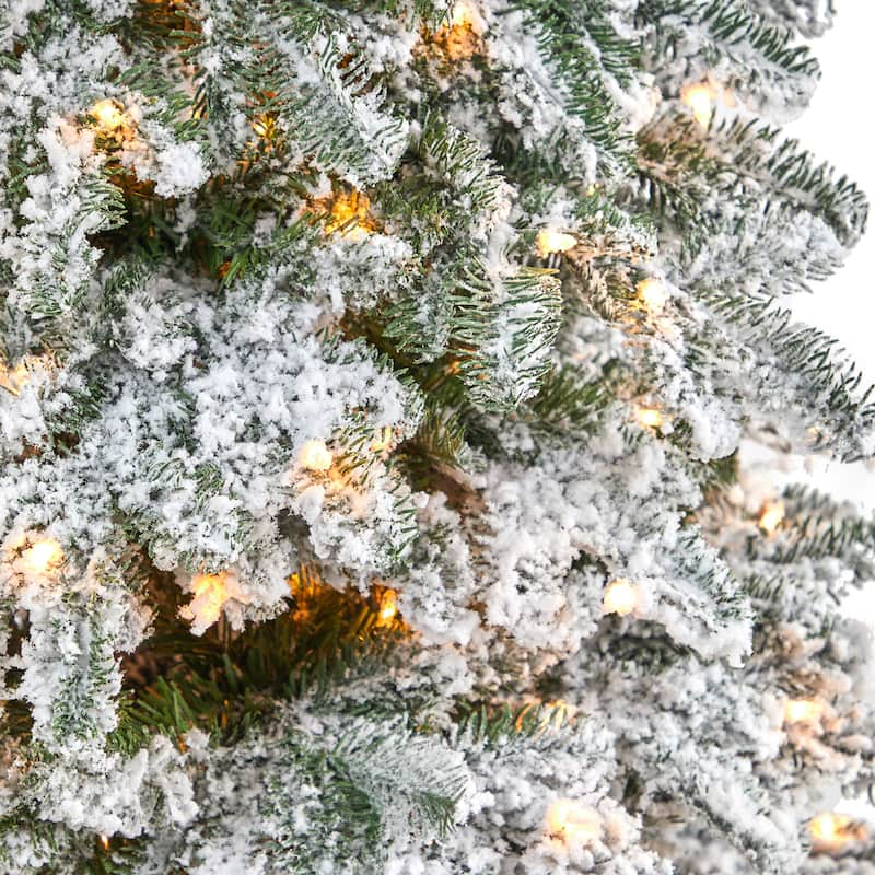 6' Flocked North Carolina Fir Artificial Christmas Tree with 450 Warm White Lights and 1560 Bendable Branches