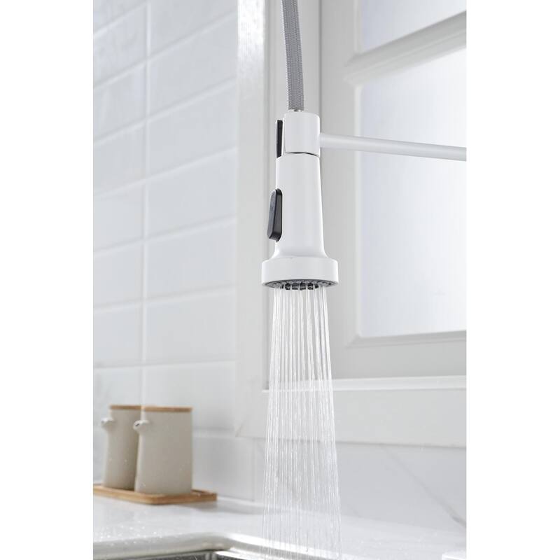 Kitchen Faucet with Pull Out Spraye
