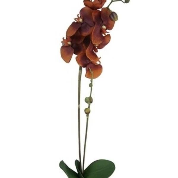 Admired By Nature Gpl951 Rust Artificial Orchid Phalaenopsis Spray Rust 3 X 31 In