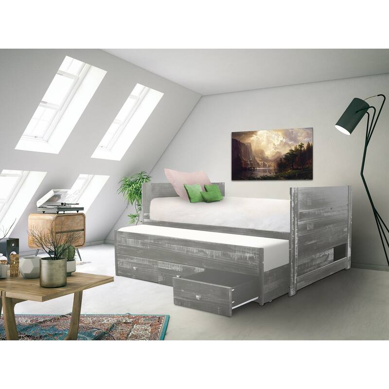Taylor & Olive Begonia Twin Bed with Twin Trundle & 3 Built in Drawers
