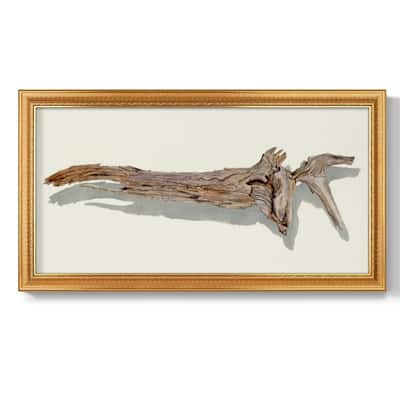 Driftwood Study II Premium Framed Canvas- Ready to Hang