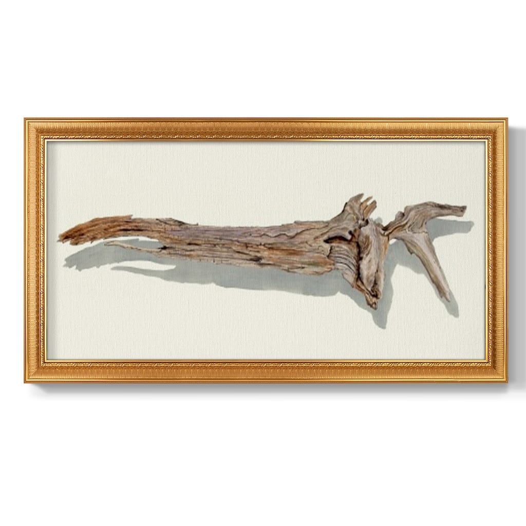 Driftwood Study II Premium Framed Canvas- Ready to Hang
