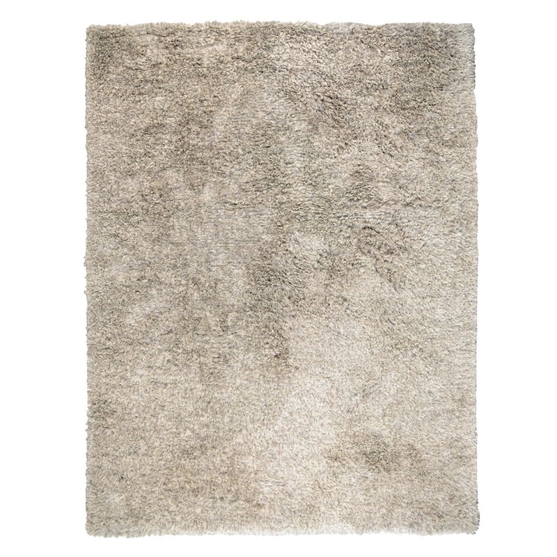 Elegante Handwoven Shag Area Rug by Kosas Home