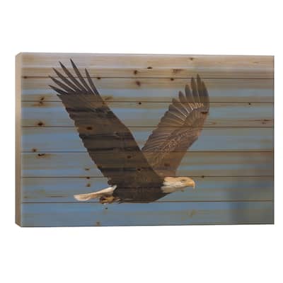 Bald Eagle I Print On Wood by Ken Archer - Multi-Color