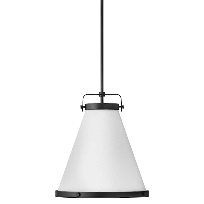 Hinkley Lighting Lexi 1 Light 16" Wide Pendant - Black